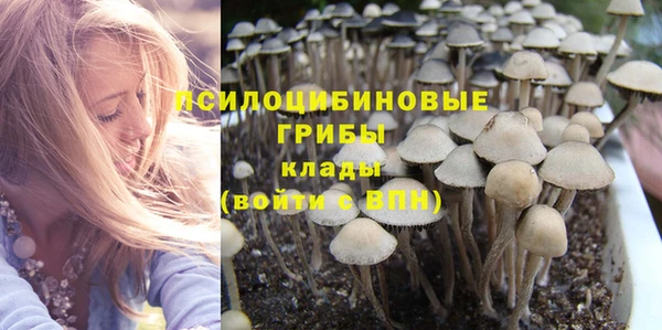 эйфоретик Абаза